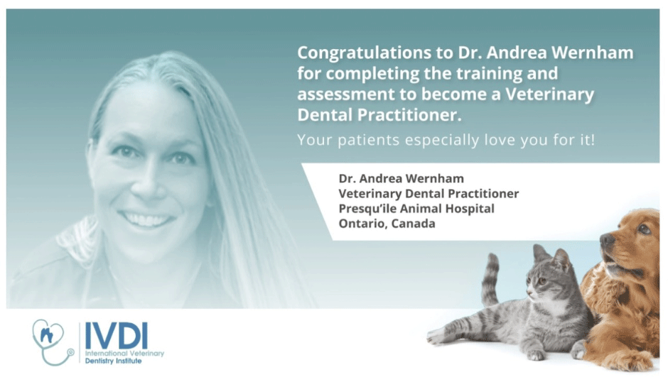 Dr Andrea Dentistry